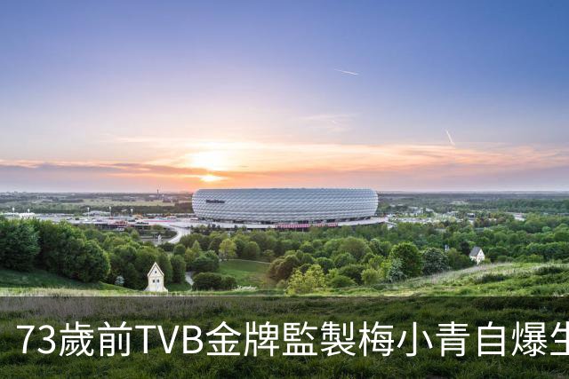 73歲前TVB金牌監製梅小青自爆生蛇 曾患膀胱癌險中風切除子宮